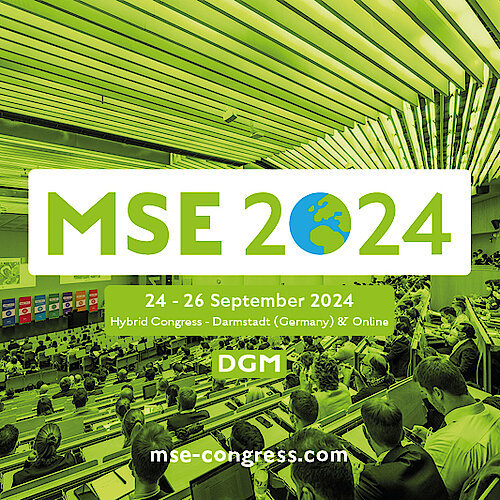 MSE 2024