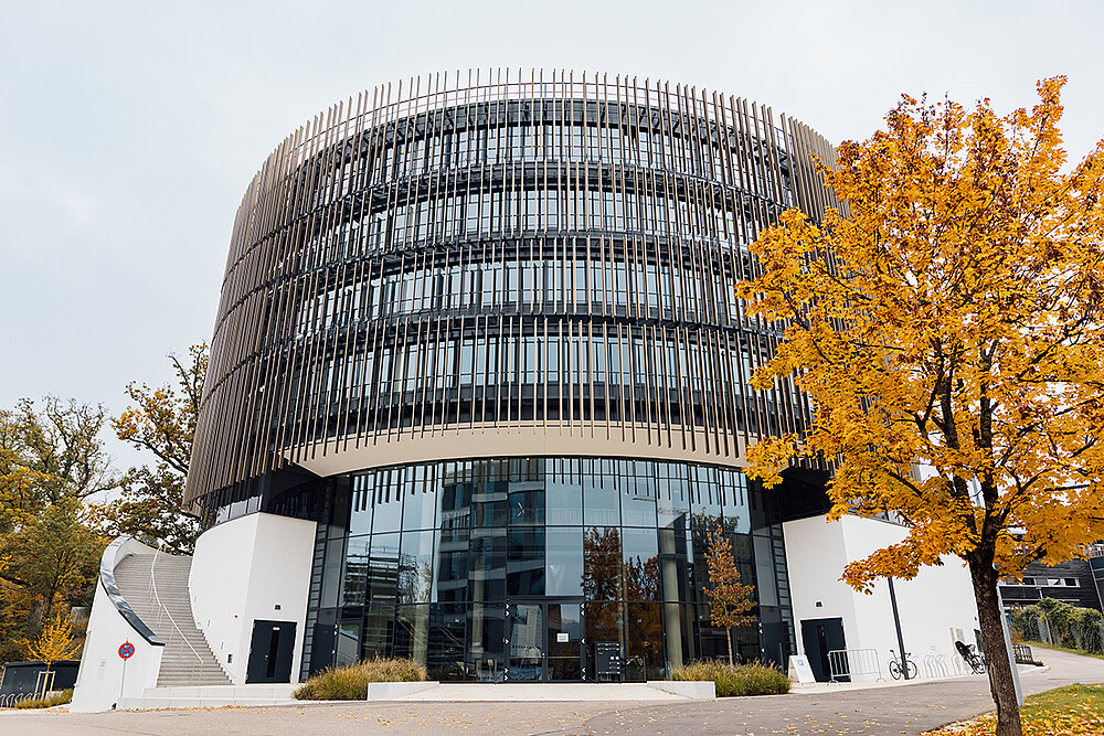 DIS Aalen University