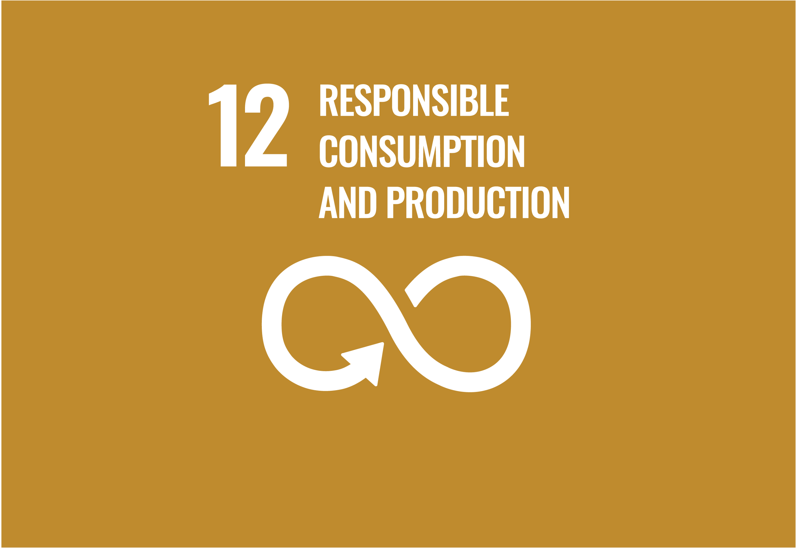 SDG 12: Responsible Consumption and Production