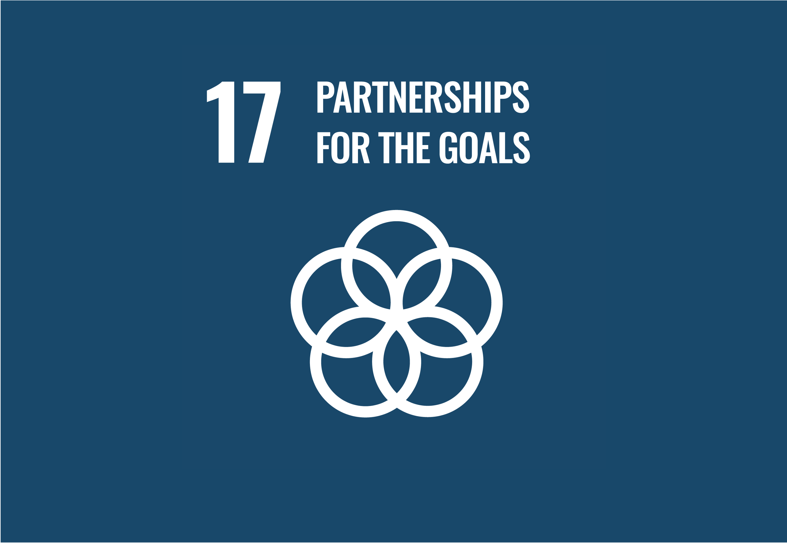 SDG 17: Partnerships for the Goals